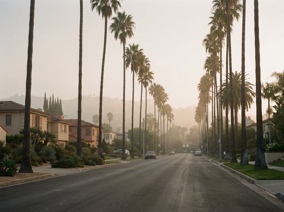 Palm lined street in Beverly Hills, California, near the Patriot Care Center clinic
